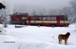 Auch Wuff ist Eisenbahnfan und findet die Kombination Triebwagen 810 079 + Diesellok 742 031 an der Spitze des talwärts fahrenden Sonderzuges interessant - Moldava (Moldau /Erzgebirge), 28.12.2005
