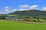 742 347 + 742 206 mit NEx 48330 am 18.08.2016 bei Furth im Wald. 