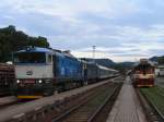 Ein streunende Hund neben Reko-Taucherbrille 750 707-2 und die alte 750 346-9 mit R 859 Praha Hlavn Ndra-Trutnov Hlavn Ndra auf Bahnhof Trutnov Hlavn Ndra am 5-8-2011.