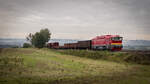 Fotogüterzug mit T 478 3101 - Lišany 29.08.21