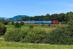 Nach einer kurzen Wende fuhr die 754.066 mit ihrer schönen Garnitur aus Bautzener Wagen als Personenzug 7544 wieder von Klatovy nach Železná Ruda-Alžbětín. Lokbespannt verkehrt dieser Zug nur an Wochenenden und in den Schulferien. Für diverse Freizeitgeräte, insbesondere Fahrräder, wird genug Stauraum in Form eines Halbgepäck- und eines Gepäckwagens bereit gestellt. Kurz hinter Nyrsko entstand am 11. August 2024 diese Aufnahme. Hier muss der Lokführer ordentlich aufschalten, denn es geht jetzt merklich hinauf in Richtung Böhmerwald. 