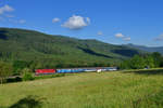 754 066 mit SP 1960 am 18.06.2017 bei Hamry-Hojsova-Brcalnik.