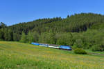 754 078 mit einem Os am 28.05.2017 bei Stezerov.