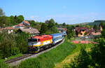 Die  Taucherbrille  754 012 mit dem “Slovácký Express” Schnellzug R888 aus Luhačovice nach Prag kurz nach Hst.