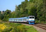 Die Sonderlackierte Taucherbrille 754 013 mit dem Zug Sp 1771 kurz nach Nemotice in Richtung Veselí nad Moravou.