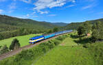 754 022 mit Sp 1702 am 06.07.2024 bei Hojsova Stráž-Brčálník.