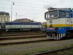 Die 754 060 und die 754 019 am 03.10.2008 in Pilsen Hbf.