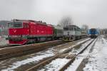 Die beiden Taucherbrillen 754 066 + 008  stehen im Bahnhof Tetcice.