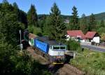 754 046 mit Os 7548 am 02.08.2013 bei elezn Ruda-Albětn.