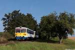 810 368-1 mit BDtax 29 039-4 am Os 11765 Domažlice - Janovice n.Úhlavou unterwegs bei Spáňov, 29.07.2018