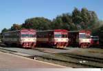 Drei Triebfahrzeuge der Baureihe 810 (von links:810 306-1, 810 265-9 und 810 383-0) warten im Bahnhof Bor / Tschechei am 3. Oktober 2013 auf ihre nchste Fahrt.
