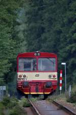 810 193-3 verschwindet bei Zátoň wieder mal im Wald,Bild vom 16.9.2014