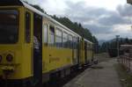 Triebwagen der GW TrainRegio bilden den Zug 25453 der  Zackenbahn  nach Szklarska Poreba, am 01.08.2014 verstärkt durch 810 226-2 .