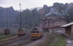 Blick in den Bahnhof Tanvald am 25.6.1988.