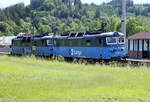 130 020-1 mit einer Schwesterlok auf der Strecke Lichkov -  Ústí nad Orlicí
17.06.2022 14:32 Uhr , kurz vor Jamné nad Orlicí (deutsch Jamnei an der Adler)
Auf der Radtour von Lichkov  nach Ústí nad Orlicí aufgenommen , nach zügiger Talfahrt, vor der geschlossenen Schranke haltend, Lenkertasche auf und  Schuß 