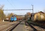 363 216-3 zu sehen am 03.11.24 mit einem Güterzug in Nebanice.