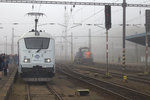 Der Tag der tschechischen Eisenbahn in Cheb beginnt mit frchterlichem Nebel.