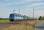 383 011 der CD Cargo führte am 20.10.24 einen beladenen ARS-Autozug durch Wittenberg-Labetz Richtung Dessau.