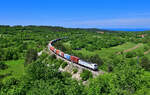 383 055 mit einem Containerzug am 10.05.2024 bei Crnotice.