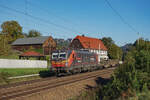 Budamar 383 221 mit einem kommplett leeren Containerzug am 09.10.2024 bei Rathen.