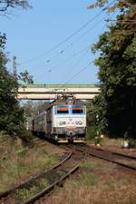 242 237 mit R661 BEZDREV (Plzeň hl.n. - Brno hl.n.) am 20.09.2018 bei Jindřichův Hradec. Der Zug passiert soeben das Ende des Dreischienengleises, hier zweigt die Strecke der JHMD nach Nová Bystřice (KBS 229) ab. 