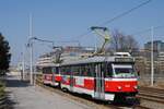 Tw.1569 + 1531 in der Videnska ul. auf der Fahrt zum Ustredni Hrbitov (Zentralfriedhof). (25.03.2022)