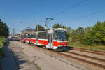 Am 06.09.2023 war der Brünner T6A5 1231 mit 1232 als Linie 5 auf dem Weg zum Zentralfriedhof (Ústřední Hřbitov).