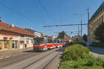 Wagen 1730 der Straenbahn Brnn war am 06.09.2023 auf dem Weg von Leň nach Bohunice.