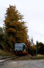 kurz vor Horni Vlatavice.....08.10.2022, 15:25 Uhr.