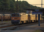 753 706-1 der Firma AWT mit einem kurzen Lokzug in Lovosice.05.06.2019 19.59 Uhr.