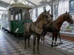 Historische Pferde-Tram.
Seit 1869 verkehrten Pferdestraenbahnen in Istanbul. 
Die erste elektrisch betriebene Strecke ging erst 1913 in Betrieb.  
Istanbul - Rahmi M. Ko Industriemuseum
12.04.09