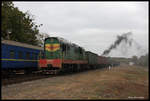 Begegnung unseres Sonderzuges mit einem Güterzug, der mit der Cmellak CM 33-4972 bespannt war, im Bahnhof Hubnyk.
