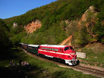 Nohab am Bakony: M61 001 vor dem roten Stein und neben die Wanderer überquert durch die Cuha-Schlucht (zwischen Vinye und Porva-Csesznek) 30.04.2016.