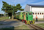 Schmalspurbahn Balatonfenyves (HU)  Kleinlok 5713 ist mit ihren beiden Wagen aus Somogyszentpál zurückgekehrt und rangiert nun im Gleisdreieck ihres Heimatbahnhofs Balatonfenyves GV.