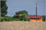 Ein TW im Kornfeld. 117 283 versteckt sich hinter reifen Ähren in Nogradszakal. (04.07.2015)