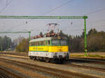 Szentgotthárd. In einer dichten Nebelsuppe versank am frühen Morgen des 21.10.2024 der Bahnhof Szentgotthárd vasútállomás. Nichts desto trotz, verrichtete die 430 327 fleißig Verschubtätigkeiten, hier am Vorfeld des Bahnhofs.