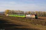 Am 01.11.2013 waren die beiden GySEV/Raaberbahn Loks 470 501  Sisi  und 470 505  Szchenyi  mit R9115 (Szombathely - Sopron) bei Kphza unterwegs.