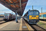 In Bahnhof Budapest-Keleti pu (HU) rückt für 480 007-8  Rákóczi Ferenc  die Abfahrt näher – erkennbar an der Ausschau haltenden Zugbegleiterin. Auf Gleis 1 hingegen hat 630 011-9 noch ein wenig Zeit, bis es mitsamt dem Fotografen losgeht.

🧰 MÁV
🚝 IC 79  Muntenia Intercity  Budapest-Keleti pu (HU)–Bucureşti Nord (RO)
🕓 10.9.2024 | 14:56 Uhr