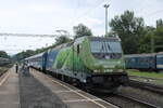 MV H-START 480 010  Zld ton Jrunk  setzt am 19.07.2024 in Keszthely nach dem umfahren der Wagen an den IC 873  Balaton , um ihn zurck nach Budapest Dli zubringen.