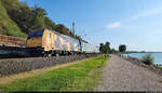 480 004-5, mit einer Folierung anlässlich 170 Jahren Eisenbahn in Ungarn (1846–2016), streift das Balaton-Südufer bei Bélatelep (HU).