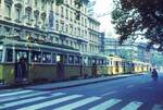 Budapest Straßenbahn-Züge am Ring_22-07-75