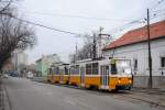 Tw.4305 + Tw.4246,Rakospalota, Fö ut.(16.01.2014)