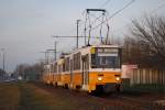 Eine T5C5-Dreifachgarnitur der Linie 14 kurz nach Verlassen der Endstelle Kaposztamegyer auf dem Weg ins Zentrum.(16.01.2014)