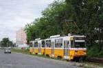 Stadtauswärts fahrendes T5C5 Tandem der Linie 37, geführt vom Tw.4101, Maglodi ut.