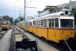 In einer langen Reihe sind die nicht mehr benötigten Triebwagen der Reihe Uv im Depot Angyalföld im Juni 2011 abgestellt.