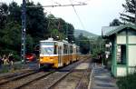 Das letzte Stück der Linie 61 nach Hüvösvölgy hat Überlandbahncharakter wie hier im Juni 2011 an der Haltestelle Heinrich Istvan ut.