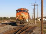 Ein BNSF Zug am 4.12.2007 in Rosenberg (bei Houston, Texas).