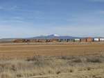 Vier BNSF Loks sind am 3.1.2008 mit einem Containerzug im US Bundesstaat New Mexico unterwegs.
