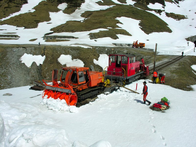 Ueberfuhr der Raupen-Schneefrse nach Muttbach