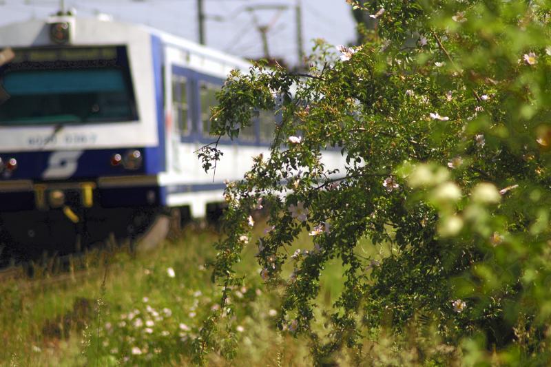 Wiener S-Bahngarnitur 4020-Impression